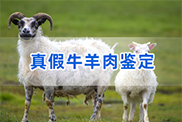 都匀羊类动物鉴定